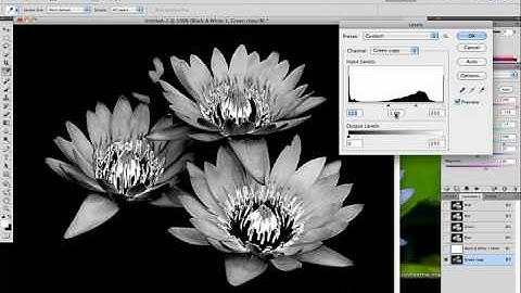 photoshop elements tutorial color pop