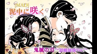 [MAD] 泥中に咲く×鬼滅の刃〜胡蝶姉妹Ver.〜 (※台詞あり、ネタバレ注意)