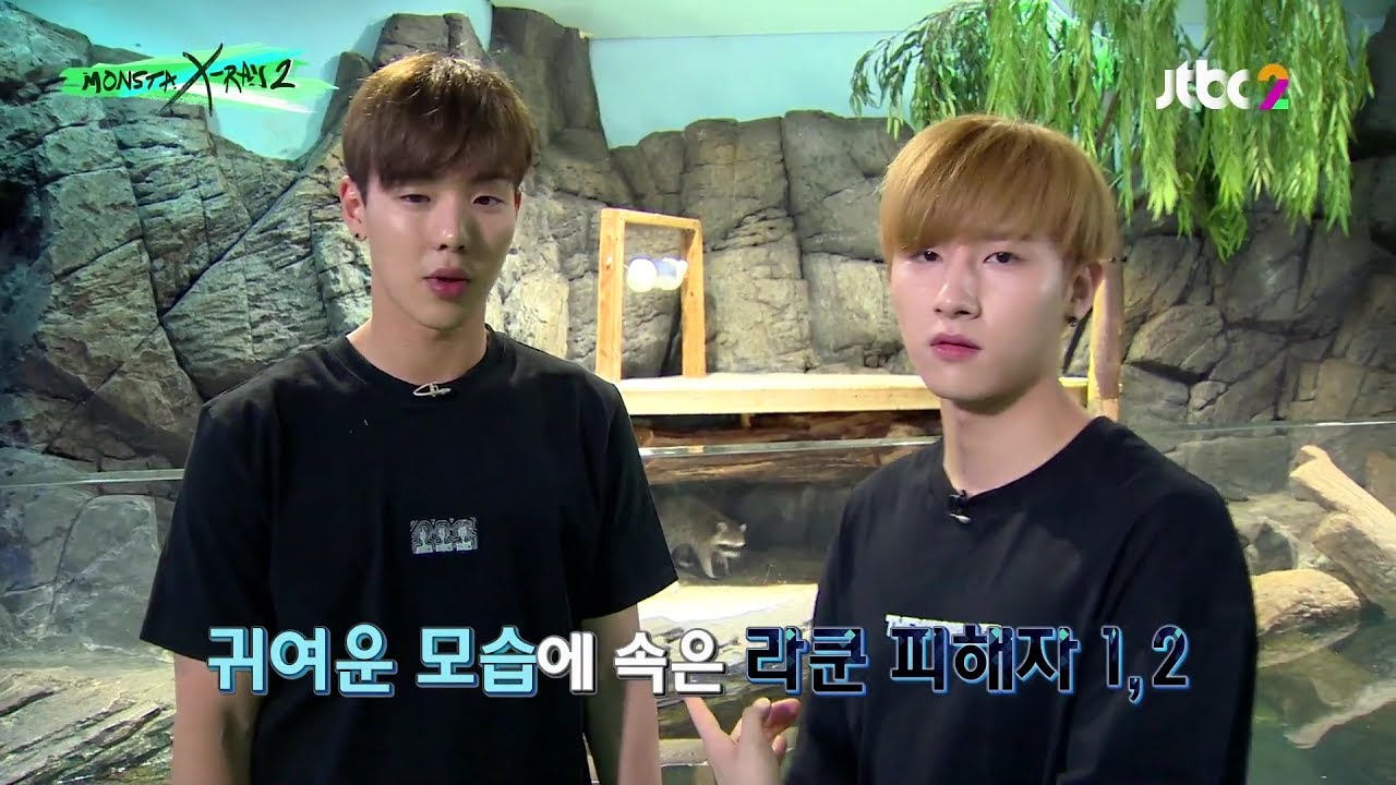 [몬스타엑스] 귀여운 모습에 속은 라쿤(사기쿤) 피해자 1,2