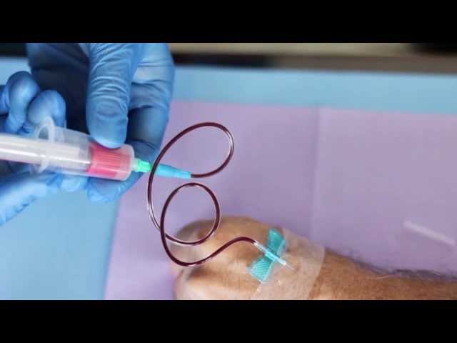 Performing a venipuncture using a butterfly needle 