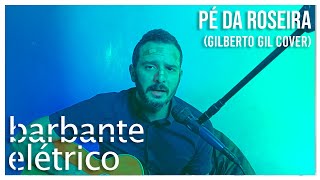 Barbante Elétrico - Pé da roseira (Gilberto Gil Cover)