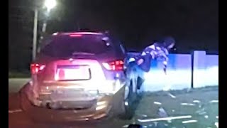 Florida Man Headbutts Window During 100mph Chase, Gets Caught by K-9 Wealth