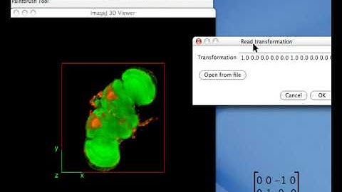 ImageJ 3D viewer demo part 2