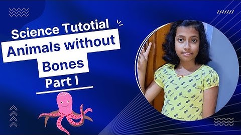 Animals Without Bones (Part I) // Science tutorial by a child //@kritanzworld