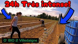 On PLANTE comme des FOUS pendant 24H!! tomates, melons, courgettes concombres