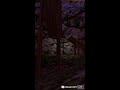 scary baboon and more