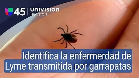 ¿Cuál es el primer y más evidente síntoma de la enfermedad de Lyme?