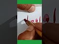 USA 🇺🇸 state name calligraphy #trending #viral #shorts #fyp #trending #love #calligraphy