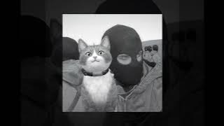 ☆ SHERIFFLADROGUE | REMIX X LA DROGUE X SHERIFFLAZONE X SNOW STRIPPERS (slowed) ☆