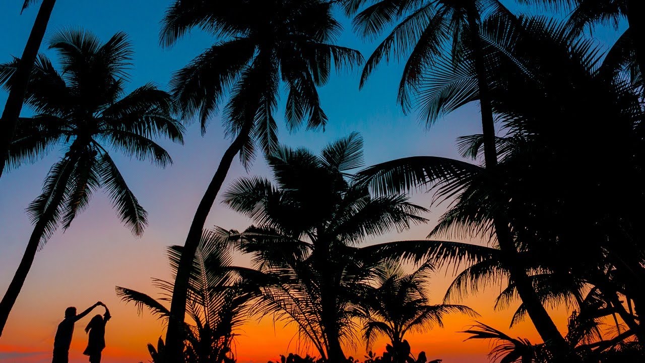 Sax Tropical House Type Beat, Saxophone, Vlog, Travel [ FREE NO