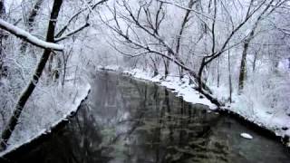 My Shameful - This Hate