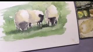 Sheepish. A watercolour demonstration of simple sheep.