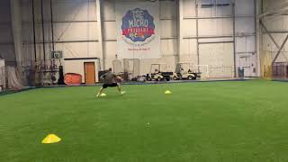 Triangle drill. (Sprint shuffle drop step)