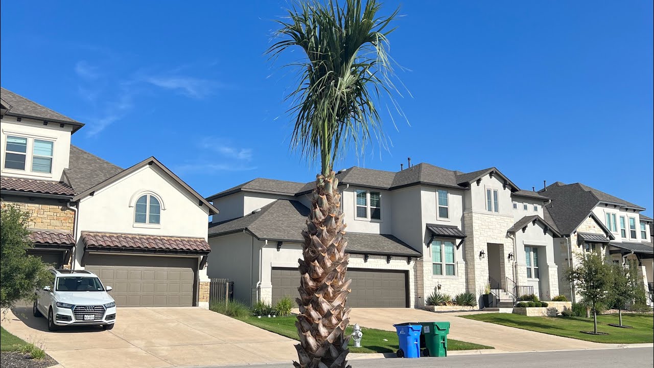 Sabal Palm Tree Planting in Austin, Texas, easier method