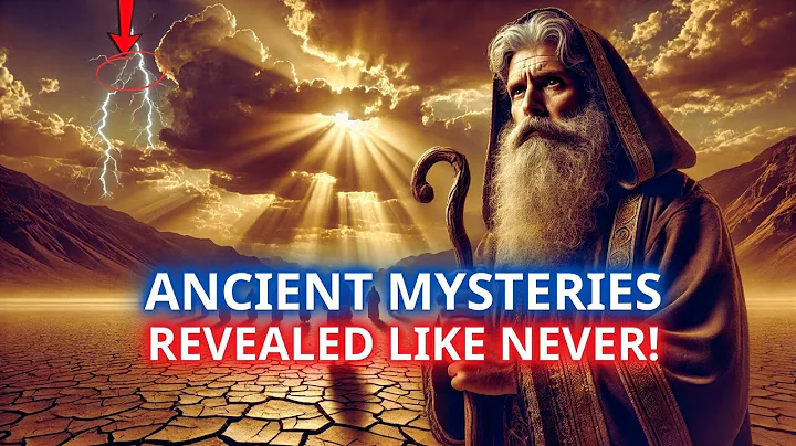 The Story  of The Book NUMBERS Like You've Never Seen It Before