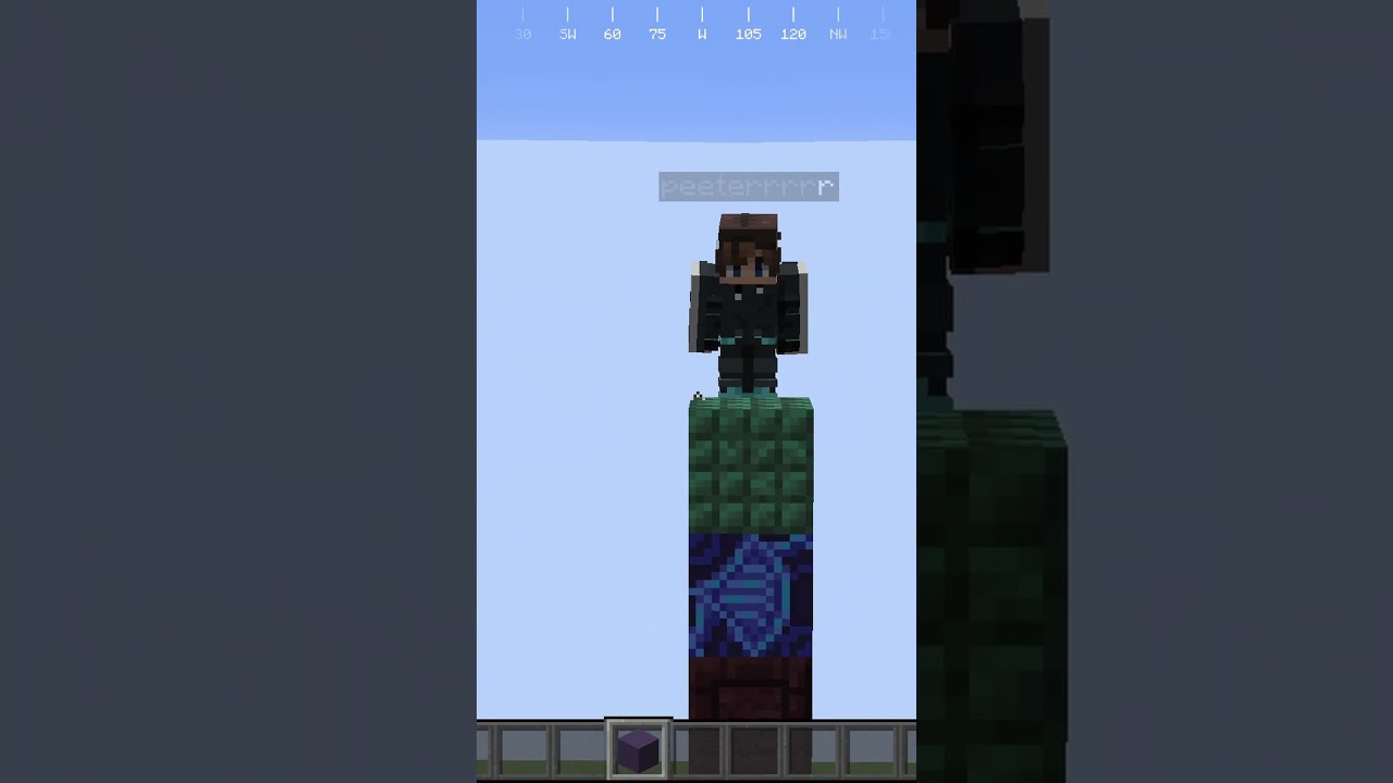 Nie patrz w dzwięk  #minecraft #mc #telepathy