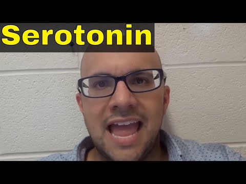 Video: Serotonin: En Kort Oversikt Over Verdensbildet - Alternativ Visning