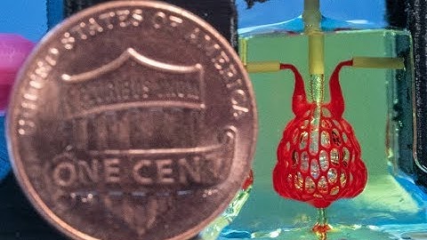 Bioengineers clear major hurdle on path to 3D printing replacement organs