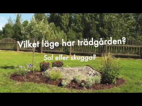Video: Hur Man Planerar En Blomsterträdgård På Platsen