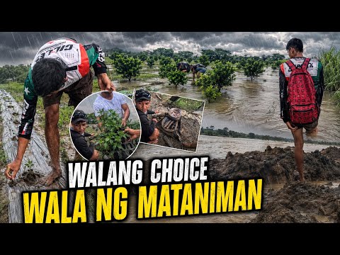NAKITANIM MUNA KAMI SA IBANG FARM