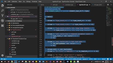 05 - C++ Standard Template Library Container Classes - template template parameter