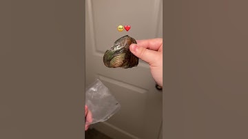 Thumbnail of Best gift ever