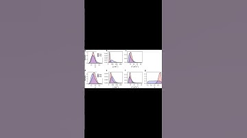 Bayesian calibration of an avalanche model from autocorrelated measurements along the... | RTCL.TV