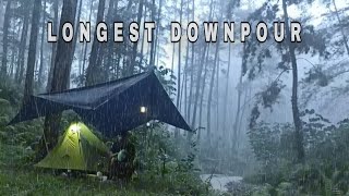 PERFECT DOWNPOUR‼️SOLO CAMPING HEAVY RAIN BY THE CREEK [ ASMR RAIN ]