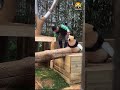 Bao’s Family Is Hilarious! 🐼