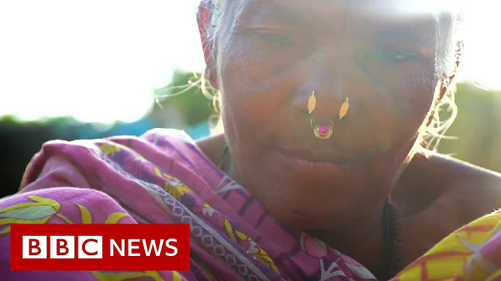 Saving India's traditional rice varieties - BBC News - DayDayNews