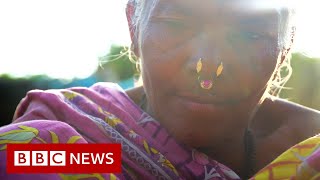Saving India's traditional rice varieties - BBC News