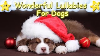 Christmas Music For Dogs To Fall Asleep Faster 🎄🎅🏼🐶 Very Calming And Relaxing