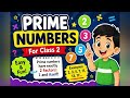 Prime Numbers Made Easy 🔢 | Class 3 Maths for Kids