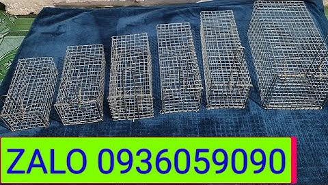 Bán bẫy sóc, Bán lồng bẫy sóc, bán bẫy chuột cống nhum, bán bẫy bìm bịp,bán bẫy chồn.Zalo 0936059090