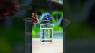 FlowerPot Vs Water Experiment | M4 Tech | shorts