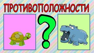 Противоположности. Антонимы для детей. Развивающее видео для детей. screenshot 2