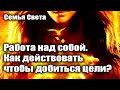 СЕМЬЯ СВЕТА - ЛЮБОВЬ - ЭТО СИЛА КОТОРАЯ МОЖЕТ ИЗМЕНИТЬ ПОЛОЖЕНИЕ ВЕЩЕЙ#Эра Возрождения