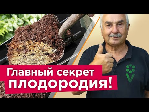 ГОРАЗДО ЛУЧШЕ, ЧЕМ НАВОЗ! Внесите это в почву осенью, и она станет рыхлой и плодородной