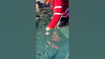 Why Is Ice Thickness Tested? 🤔