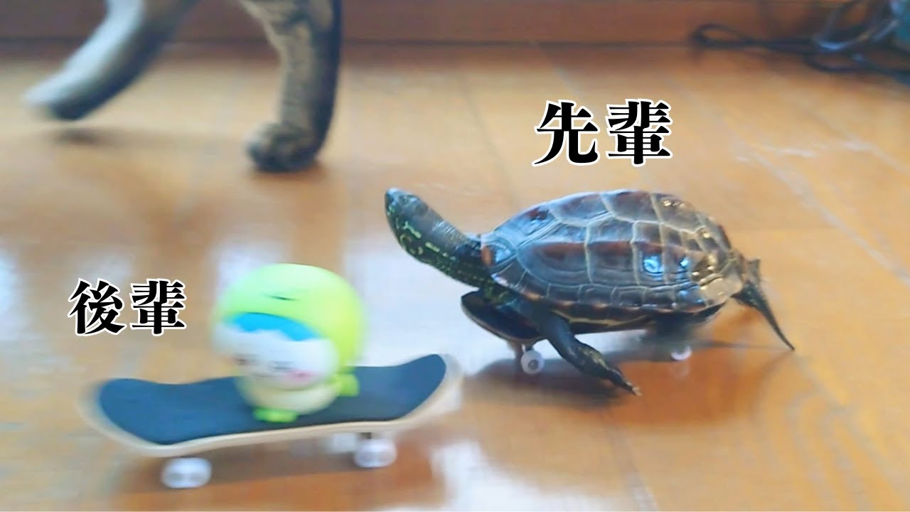 足漕ぎボート(亀) 楽天市場】足 漕ぎ ボート（スポーツ・アウトドア）の通販