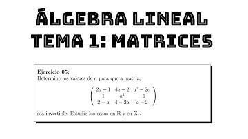 ejercicio 05 matriz invertible dependiendo de un parámetro || álgebra lineal tema 1 matrices
