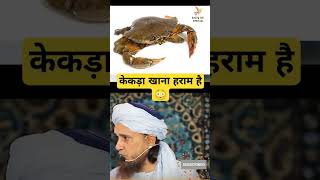 केकड़ा खाना हराम हैं?islamic shorts video by Mufti tariq Masood shortsshortsfeed  youtubeshorts