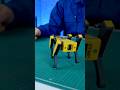 犬型ロボット｜robot 🐕