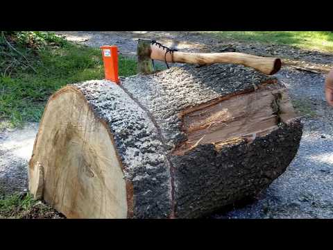 Stihl MS 311 Using 36 Inch Bar Bucking Water Oak Rounds