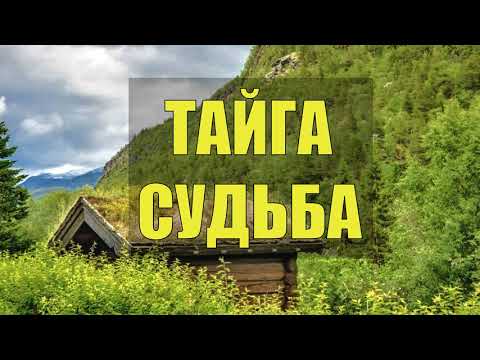 В Завалах Бурелома Лежала Девушка И Я Один На Всю Тайгу Судьба Жизнь В Тайге Истории Из Жизни Любовь