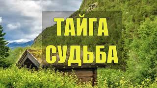 В завалах бурелома лежала девушка и Я ОДИН на всю тайгу СУДЬБА ЖИЗНЬ В ТАЙГЕ ИСТОРИИ из ЖИЗНИ ЛЮБОВЬ