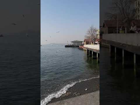 İstanbul Beşiktaş Sahili