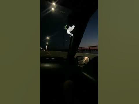 телега в описании - YouTube