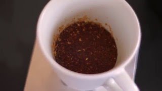 Bloom - Maude Coffee - Brew and Review