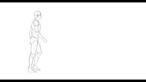 Rough Animator | Walkcycle Reel.mp4